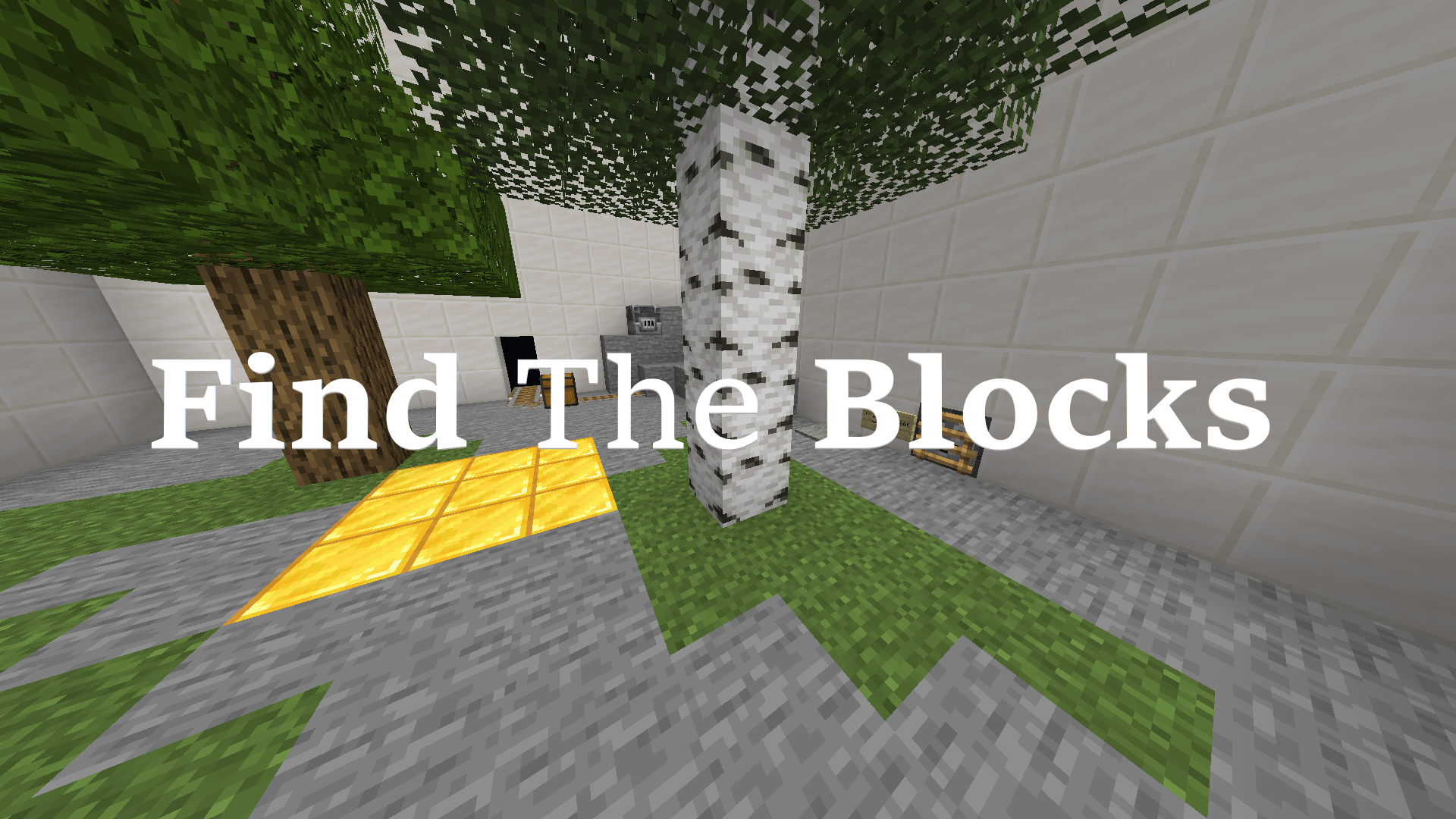 Unduh Find The Blocks untuk Minecraft 1.14.4