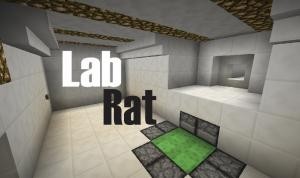 Unduh Lab Rat untuk Minecraft 1.12