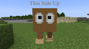 Unduh This Side Up 1.0 untuk Minecraft 1.18.2