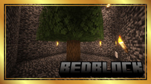 Unduh BedBlock untuk Minecraft 1.21.5